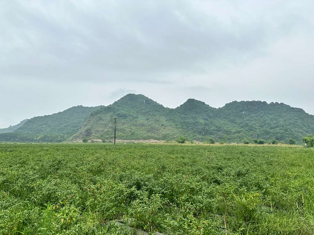 Vietnam processing facility