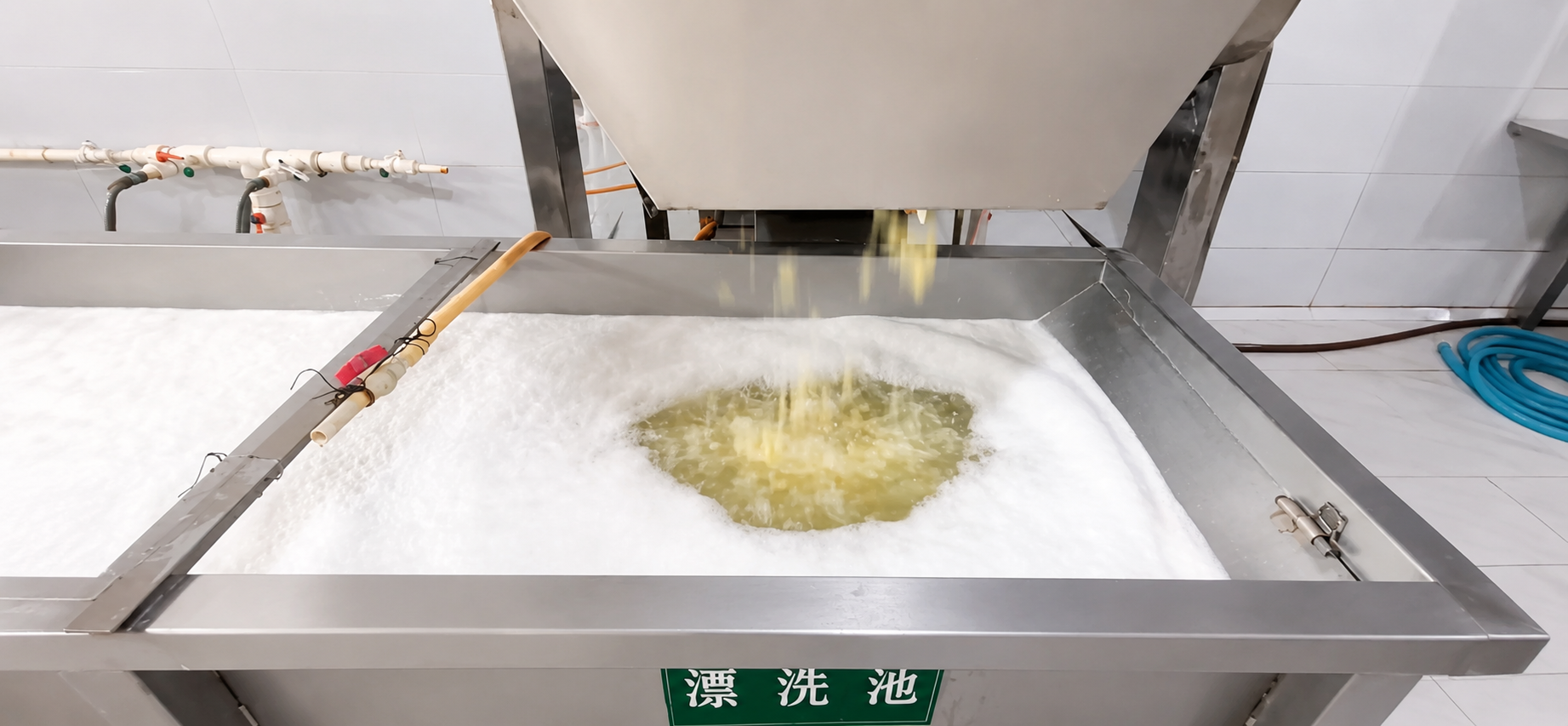 Garlic bubble washing and sterilization at Yuminaga processing facility