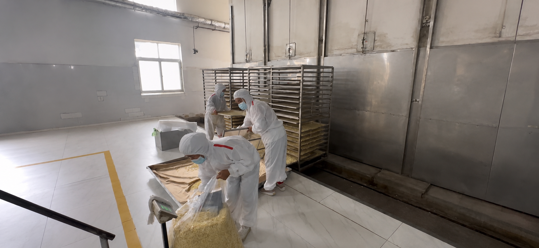 Tunnel dehydration system at the Liaocheng garlic facility
