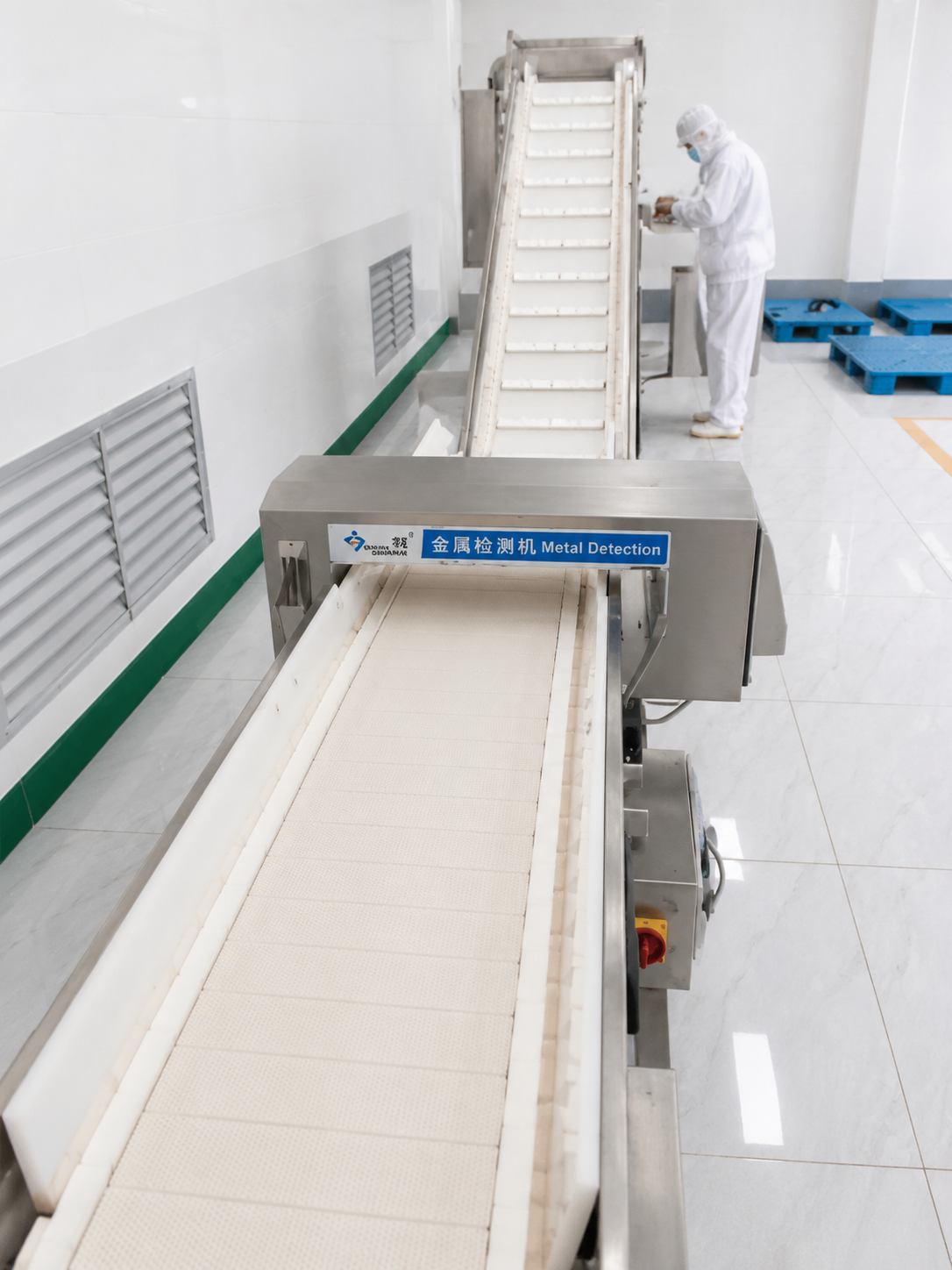 Garlic quality inspection at Yuminaga processing facility